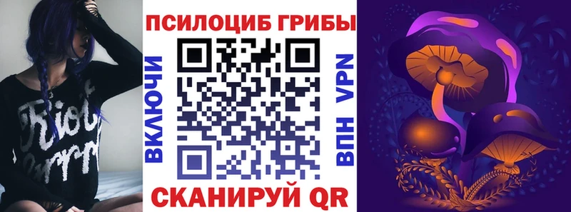 Псилоцибиновые грибы прущие грибы  Купить где  Сертолово 